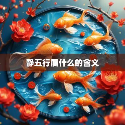 静五行属什么的含义