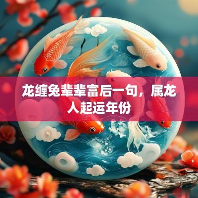 龙缠兔辈辈富后一句，属龙人起运年份