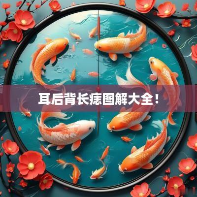 耳后背长痣图解大全！