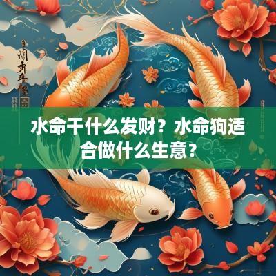 水命干什么发财？水命狗适合做什么生意？