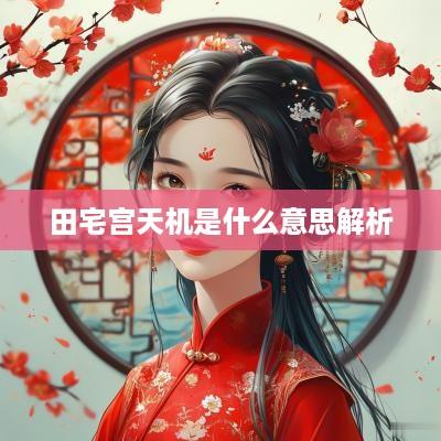 田宅宫天机是什么意思解析