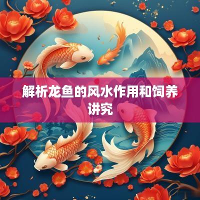 解析龙鱼的风水作用和饲养讲究