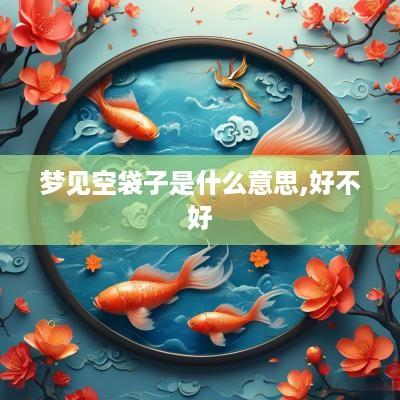 梦见空袋子是什么意思,好不好