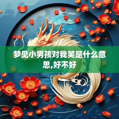 梦见小男孩对我笑是什么意思,好不好