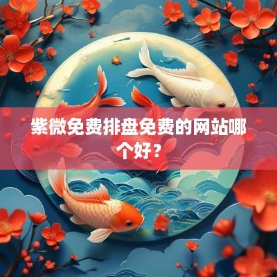 紫微免费排盘免费的网站哪个好？