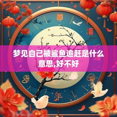 梦见自己被鲨鱼追赶是什么意思,好不好