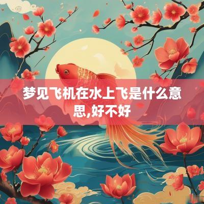 梦见飞机在水上飞是什么意思,好不好