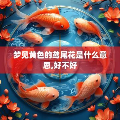 梦见黄色的鸢尾花是什么意思,好不好