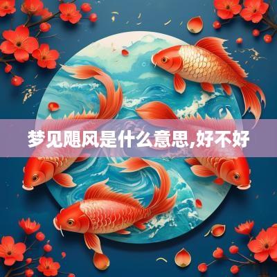 梦见飓风是什么意思,好不好