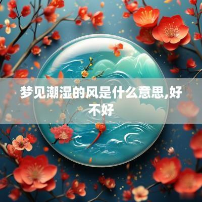 梦见潮湿的风是什么意思,好不好