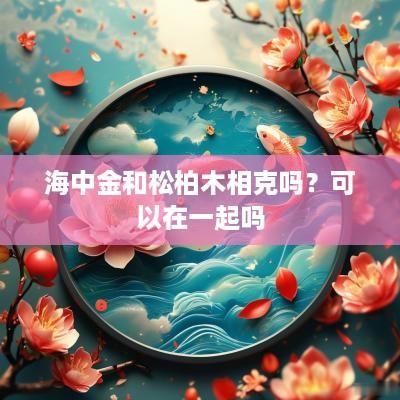 海中金和松柏木相克吗？可以在一起吗