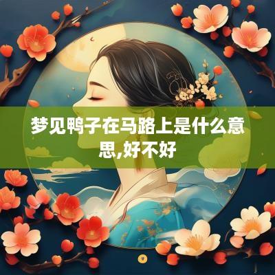 梦见鸭子在马路上是什么意思,好不好