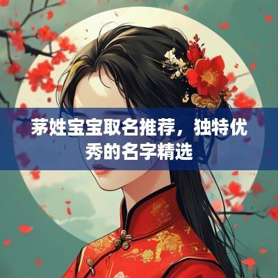 茅姓宝宝取名推荐，独特优秀的名字精选