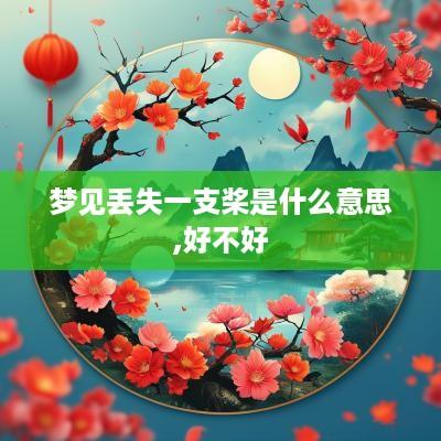 梦见丢失一支桨是什么意思,好不好