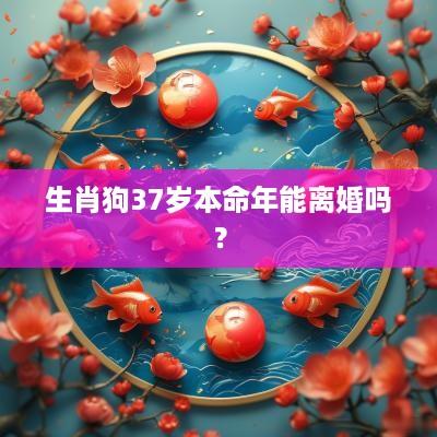 生肖狗37岁本命年能离婚吗？