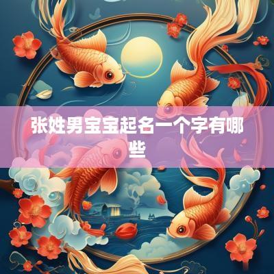 张姓男宝宝起名一个字有哪些