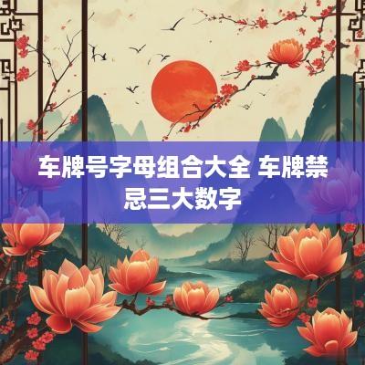 车牌号字母组合大全 车牌禁忌三大数字