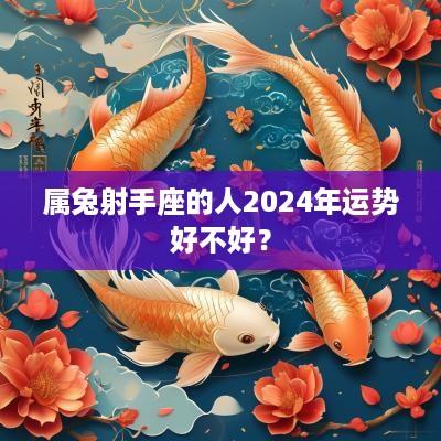 属兔射手座的人2025年运势好不好？