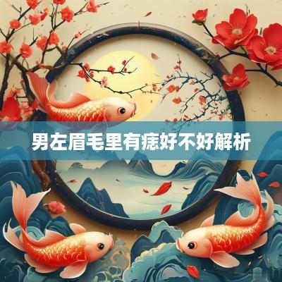 男左眉毛里有痣好不好解析