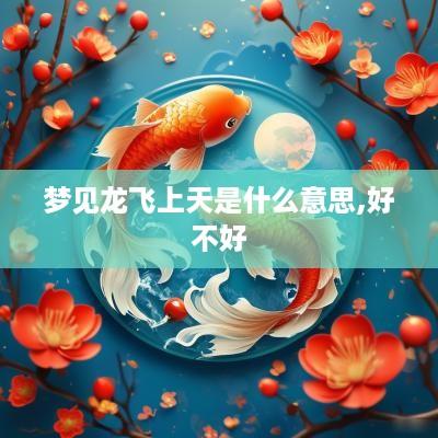 梦见龙飞上天是什么意思,好不好