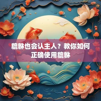 貔貅也会认主人？教你如何正确使用貔貅