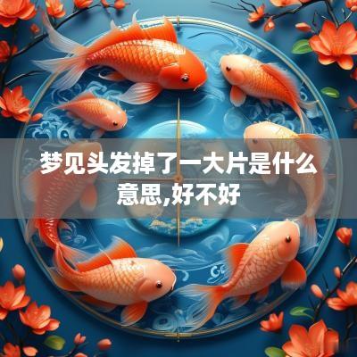 梦见头发掉了一大片是什么意思,好不好