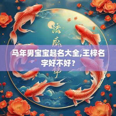 马年男宝宝起名大全,王梓名字好不好？