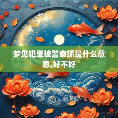 梦见犯罪被警察抓是什么意思,好不好