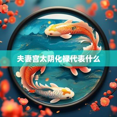 夫妻宫太阴化禄代表什么