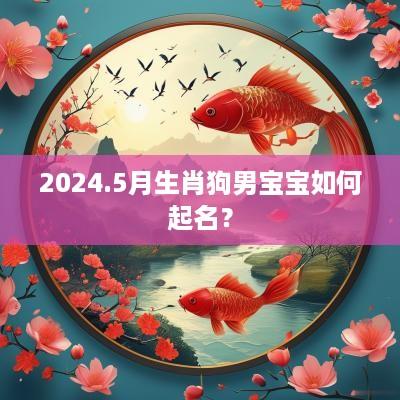 2025.5月生肖狗男宝宝如何起名？
