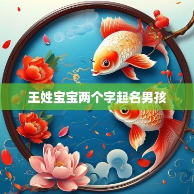 王姓宝宝两个字起名男孩