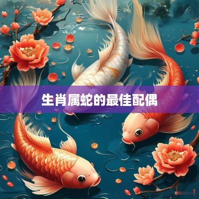 生肖属蛇的最佳配偶