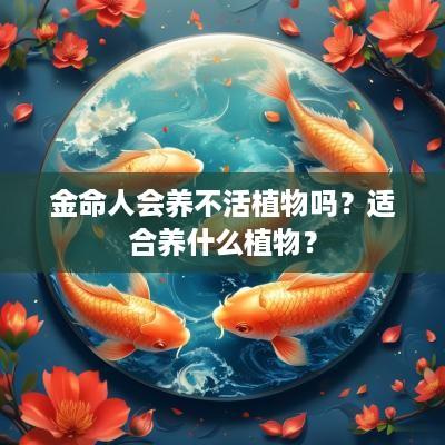 金命人会养不活植物吗？适合养什么植物？