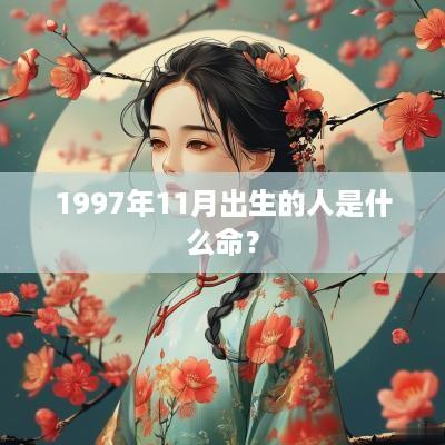 1997年11月出生的人是什么命？