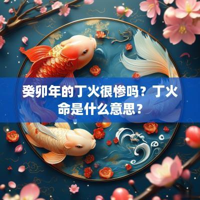 癸卯年的丁火很惨吗?丁火命是什么意思? 癸卯年的丁火很惨吗?丁火命是什么意思?