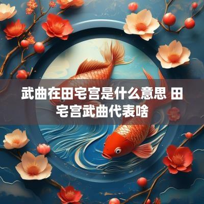 武曲在田宅宫是什么意思 田宅宫武曲代表啥