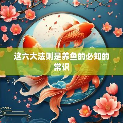 这六大法则是养鱼的必知的常识