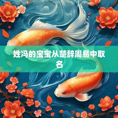 姓冯的宝宝从楚辞周易中取名