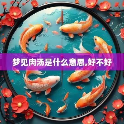 梦见肉汤是什么意思,好不好