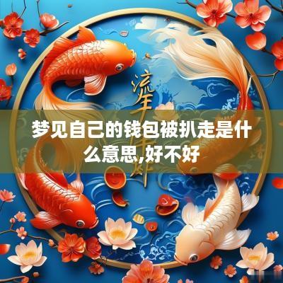 梦见自己的钱包被扒走是什么意思,好不好