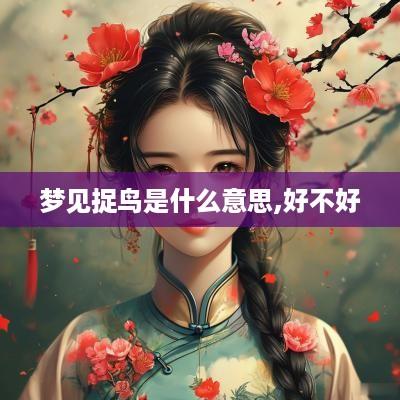 梦见捉鸟是什么意思,好不好
