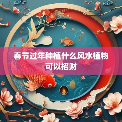 春节过年种植什么风水植物可以招财