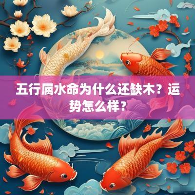 五行属水命为什么还缺木？运势怎么样？