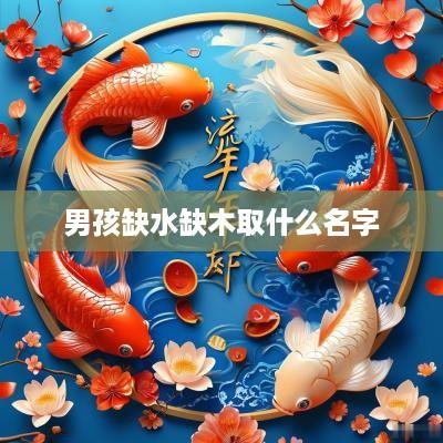 男孩缺水缺木取什么名字
