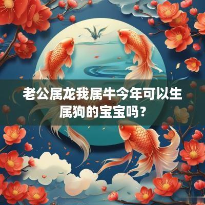老公属龙我属牛今年可以生属狗的宝宝吗？