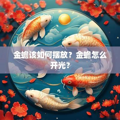 金蟾该如何摆放？金蟾怎么开光？