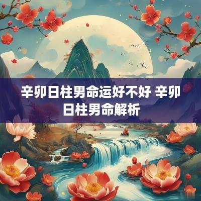 辛卯日柱男命运好不好 辛卯日柱男命解析
