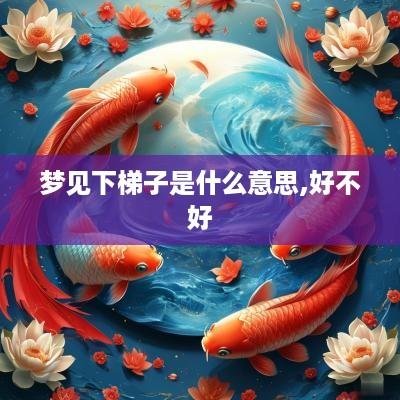 梦见下梯子是什么意思,好不好