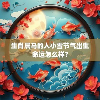 生肖属马的人小雪节气出生命运怎么样？