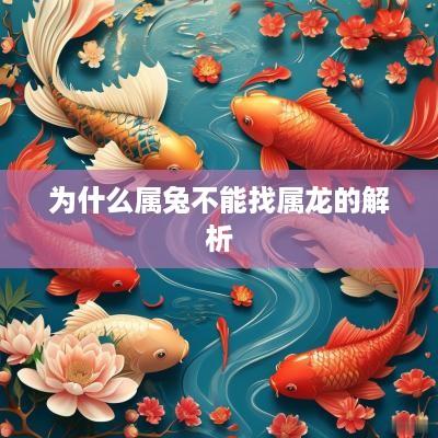 为什么属兔不能找属龙的解析